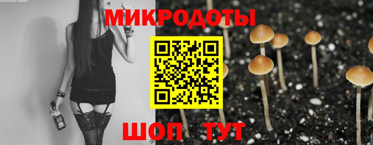 Псилоцибиновые грибы Psilocybine cubensis Зеленогорск