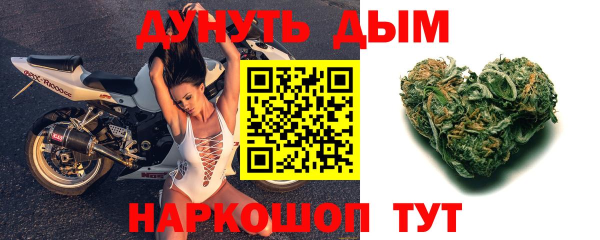 Зеленогорск  Шишки марихуана конопля  Конопля Bruce Banner  Вход с VPN 